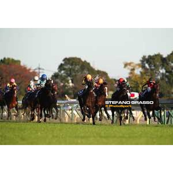 42nd Japan Cup 2022 - Tokyo, Fuchu racecourse - 27 November 2022 The last few meters to the post ion the 42nd Japan Cup - ph.Stefano Grasso/Longines - 01SG8332.JPG