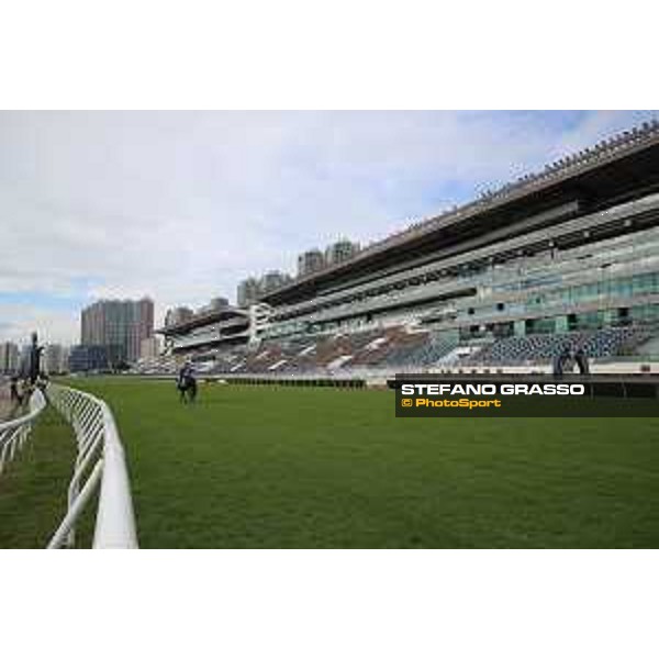 LHKIR 2022 of Hong Kong - - Hong Kong, Sha Tin racecourse Morning track works at Sha Tin racecourse - Japanese contenders - 7 December 2022 - ph.Stefano Grasso/Longines/LHKIR 2022