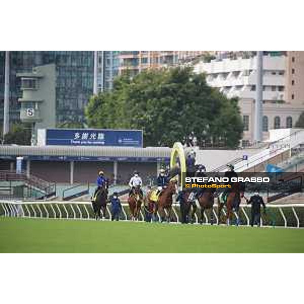 LHKIR 2022 of Hong Kong - - Hong Kong, Sha Tin racecourse Morning track works at Sha Tin racecourse - 7 December 2022 - ph.Stefano Grasso/Longines/LHKIR 2022