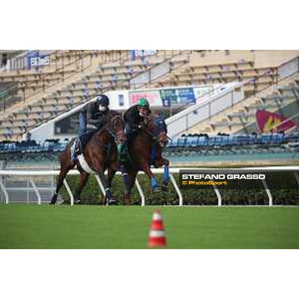 LHKIR 2022 of Hong Kong - - Hong Kong, Sha Tin racecourse Morning track works at Sha Tin racecourse - Win Marylin and Schnell Meister - 7 December 2022 - ph.Stefano Grasso/Longines/LHKIR 2022