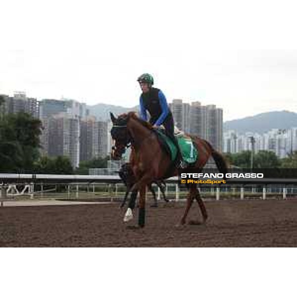 LHKIR 2022 of Hong Kong - - Hong Kong, Sha Tin racecourse Morning track works at Sha Tin racecourse - Mendocino - 7 December 2022 - ph.Stefano Grasso/Longines/LHKIR 2022