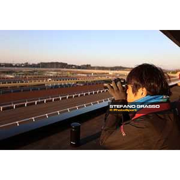 Japan Cup of Tokyo - - Tokyo, Fuchu Racecourse - 24 November 2023 - ph.Stefano Grasso/Longines A morning at MIHO training center