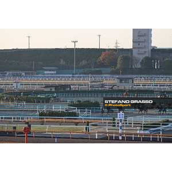 Japan Cup of Tokyo - - Tokyo, Fuchu Racecourse - 24 November 2023 - ph.Stefano Grasso/Longines A morning at MIHO training center