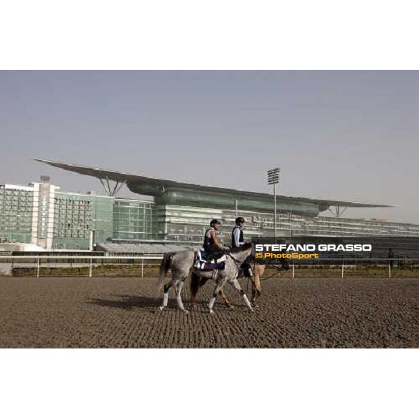 morning track works at Meydan racecourse Dubai - Meydan, 7th march 2010 ph. Stefano Grasso
