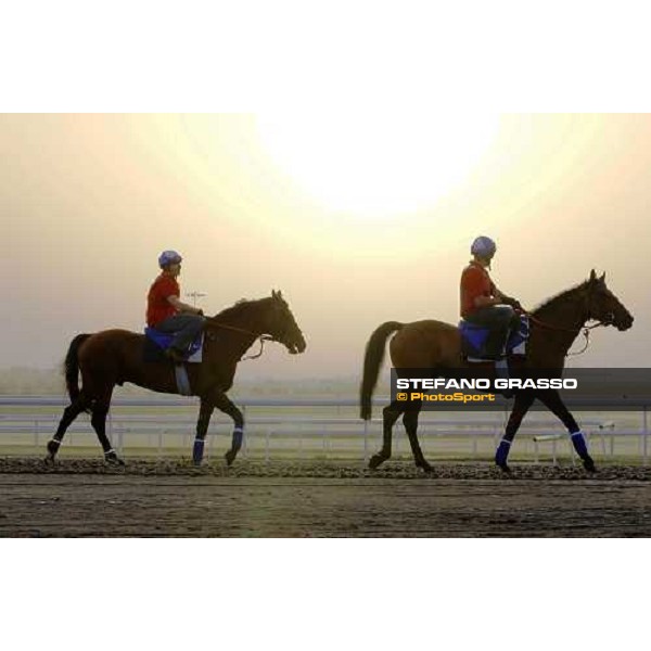 Emotions during morning track works at Meydan racecourse Dubai - Meydan, 7th march 2010 ph. Stefano Grasso