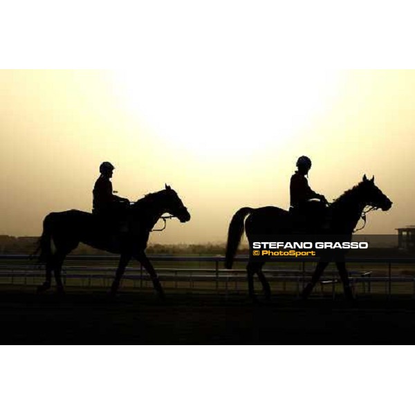 Emotions during morning track works at Meydan racecourse Dubai - Meydan, 7th march 2010 ph. Stefano Grasso
