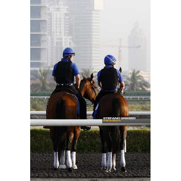 two horses prepare for morning trackworks at Godolphin Media Morning Dubai - Al Quoz, 24th march 2010 ph. Stefano Grasso
