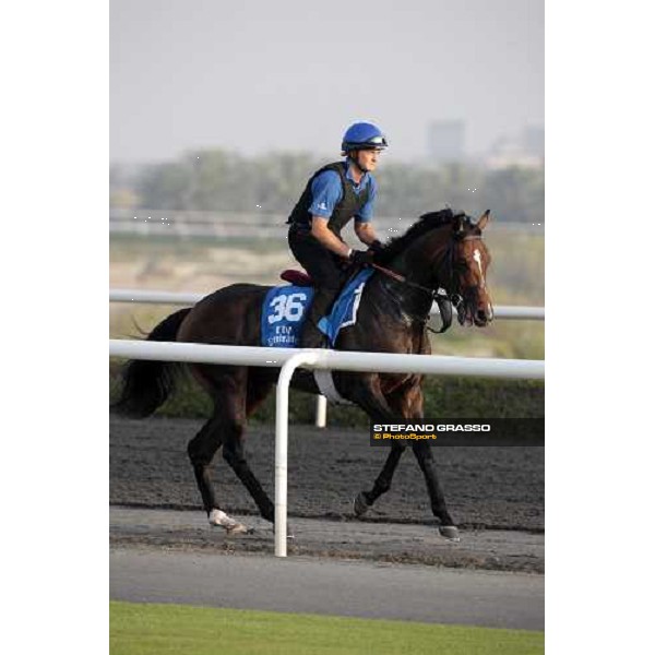 Chabal working at Al Quoz during the Godolphin Media Morning Dubai - Al Quoz, 24th march 2010 ph. Stefano Grasso