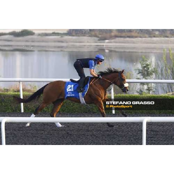 Forensics working at Al Quoz during the Godolphin Media Morning Dubai - Al Quoz, 24th march 2010 ph. Stefano Grasso