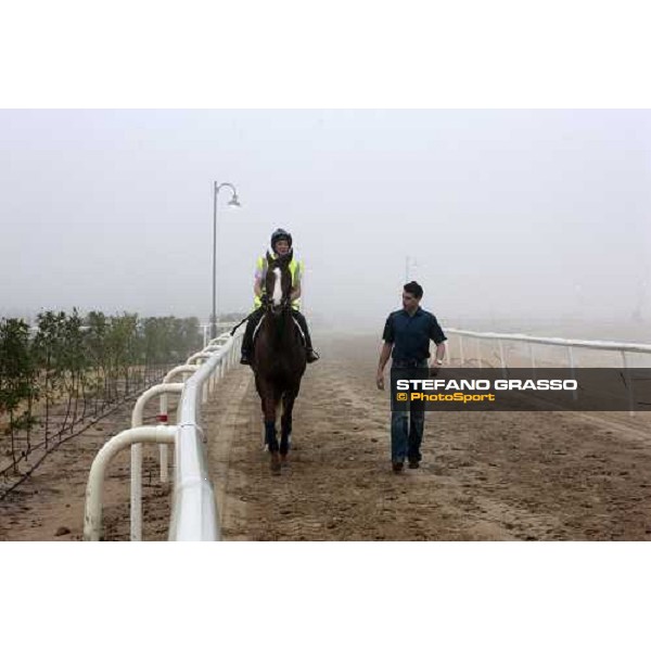 Marco Botti walks back to the stable with Gitano Hernando after a canter Dubai - Meydan, 25th march 2010 ph. Stefano Grasso