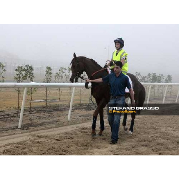 Marco Botti walks back to the stable with Gitano Hernando after a canter Dubai - Meydan, 25th march 2010 ph. Stefano Grasso