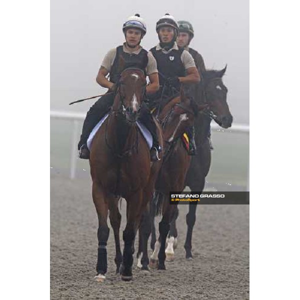 Summit Surge and Presvis return back home after morning trackworks Dubai - Meydan, 25th march 2010 ph. Stefano Grasso