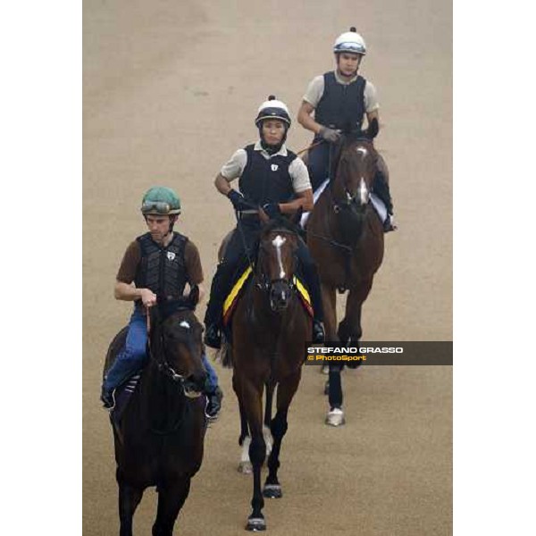 Presvis and Summit Surge return home after morning trackworks Dubai - Meydan, 25th march 2010 ph. Stefano Grasso