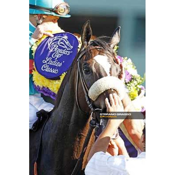 many thanks to Zenyatta and Mike Smith winners of the Breeders\' Cup Ladies Classic at Santa Anita Park Los Angeles - Santa Anita, 24th oct. 2008 ph. Stefano Grasso