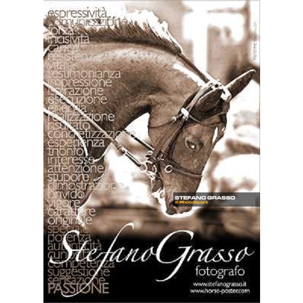 a new photo exibition by Stefano Grasso 2010