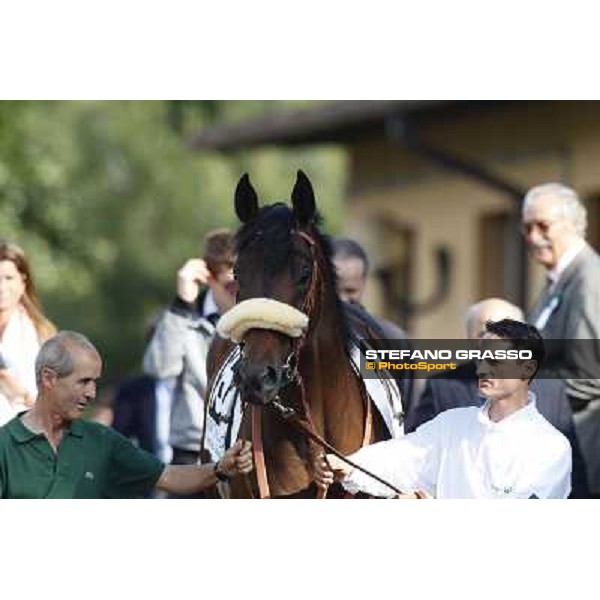 a close up for Worthadd winner of the 127° Derby Italiano Rome, 8th may 2010 ph. Stefano Grasso