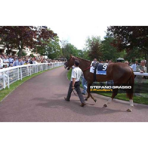 Shifting Place in the parade ring of Deauville Deauville, 22th august 2004 ph. Stefano Grasso