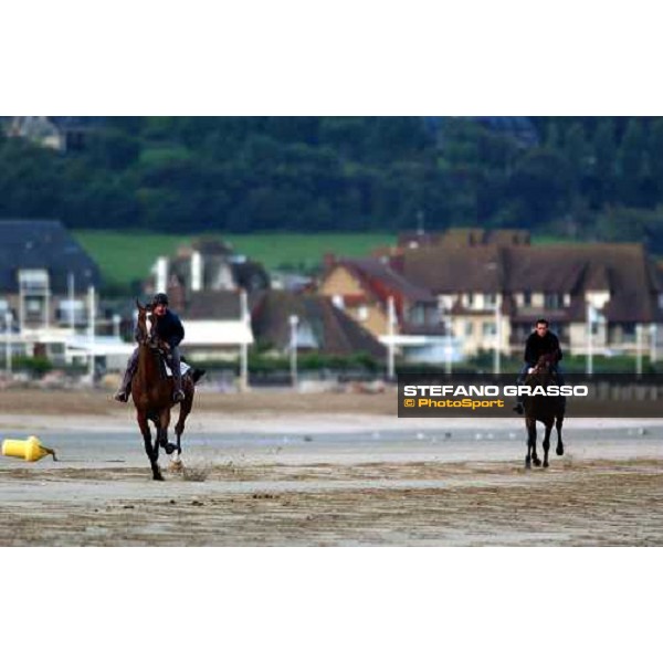 morning works on the beach Deauville, 21st august 2004 ph. Stefano Grasso