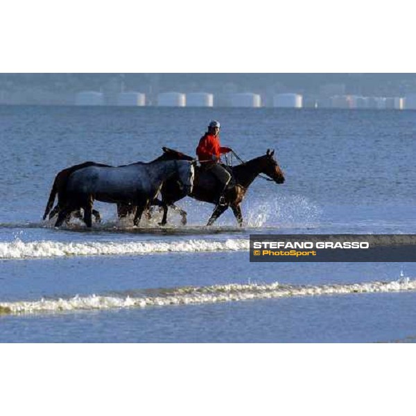 morning works on the beach Deauville, 21st august 2004 ph. Stefano Grasso
