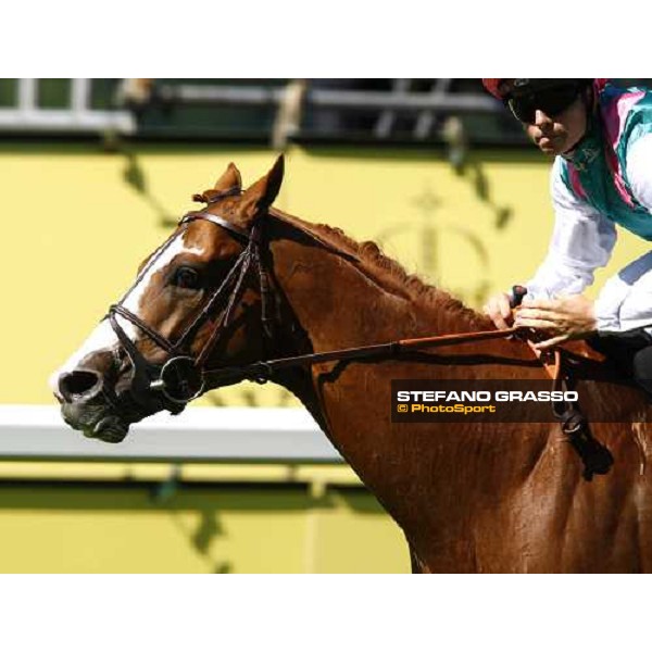 Byword - The Prince of Wales\'s Stakes Ascot 2nd day 16th june 2010 ph. Stefano Grasso