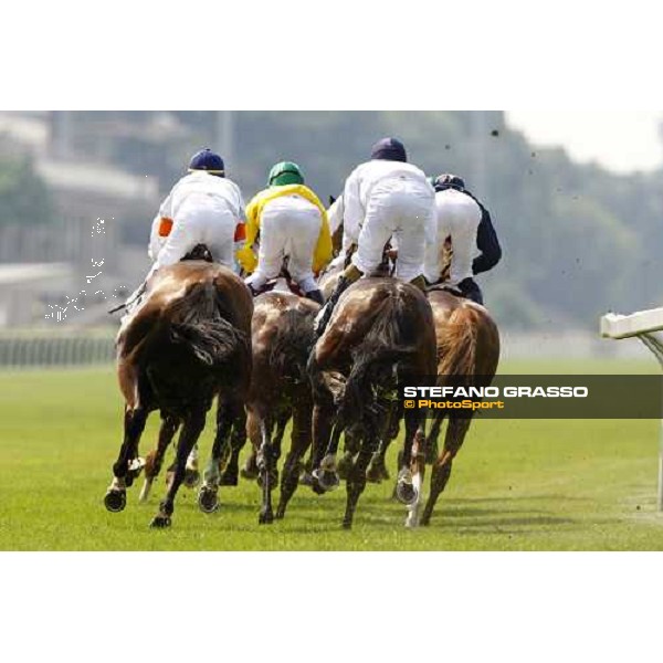 a group of horses enters the straight of San Siro Milan - San Siro racetrack, 27th june 2010 ph. Stefano Grasso