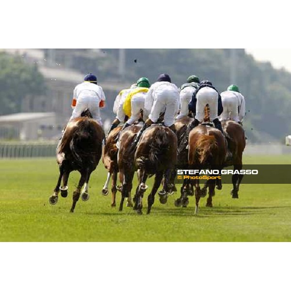 a group of horses enters the straight of San Siro Milan - San Siro racetrack, 27th june 2010 ph. Stefano Grasso