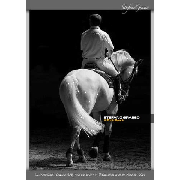 San Patrignano - 2009 ph. Stefano Grasso www.horse-poster.com All rights reserved