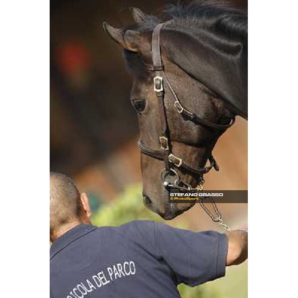 Moments and Emotions at the Sga - Selected Yearlings Sale - 85 m. b. N Soviet Star Rafif Parco INCOLINX - DIEGO ROMEO SCUDERIA €70.000 Settimo Milanese (MI), 24-25th sept.2010 ph. Stefano Grasso
