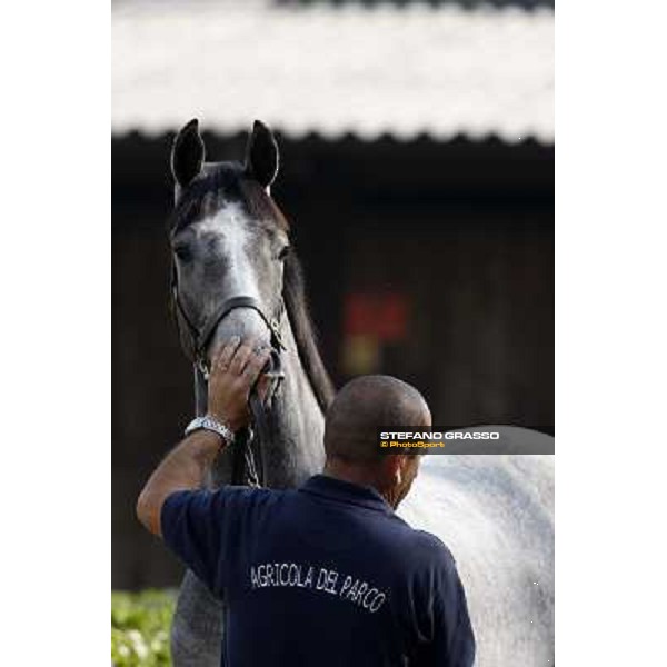 Moments and Emotions at the Sga - Selected Yearlings Sale Settimo Milanese (MI), 24th sept.2010 ph. Stefano Grasso