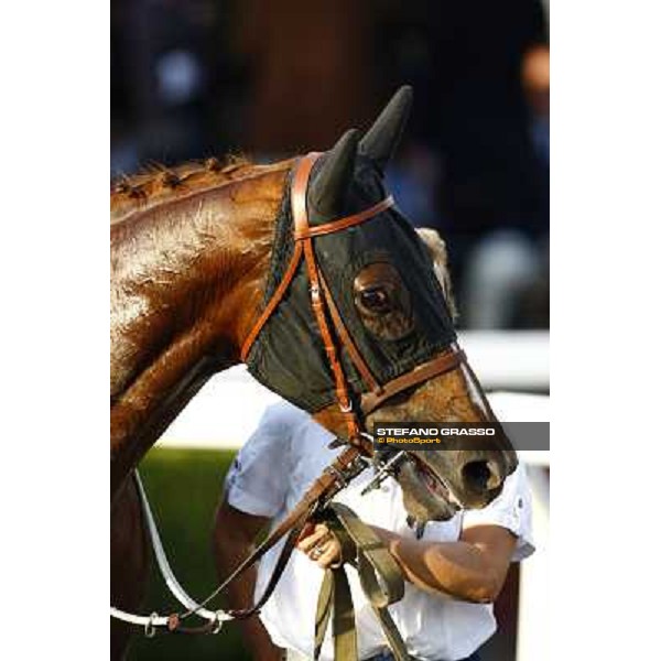 close up for Aoife Alain after winning he Premio Lydia Tesio Rome, Capannelle racetrack 24th oct. 2010 ph. Stefano Grasso