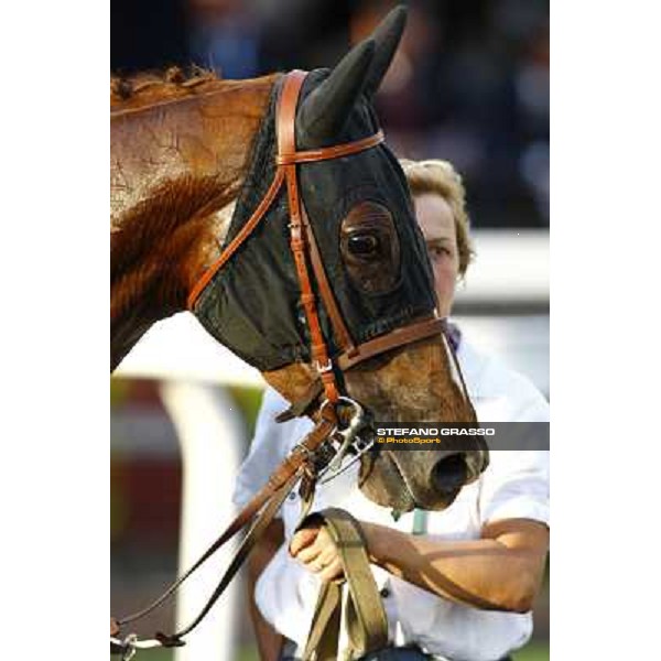 a close up for Aoife Alain returning home after winning he Premio Lydia Tesio Rome, Capannelle racetrack 24th oct. 2010 ph. Stefano Grasso