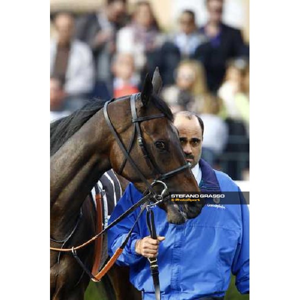 Antara parading with her groom before the Premio Lydia Tesio Rome, Capannelle racetrack, 24th oct. 2010 ph. Stefano Grasso