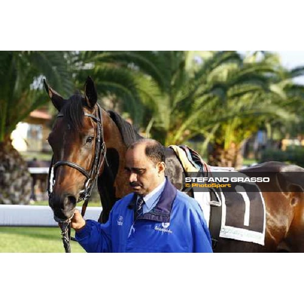 Antara parading with her groom before the Premio Lydia Tesio Rome, Capannelle racetrack, 24th oct. 2010 ph. Stefano Grasso 