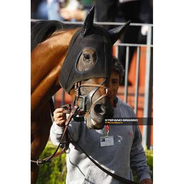 Portraits and Emotions at Premio Lydia Tesio - Ansiei Rome, Capannelle racetrack, 24th oct. 2010 ph. Stefano Grasso