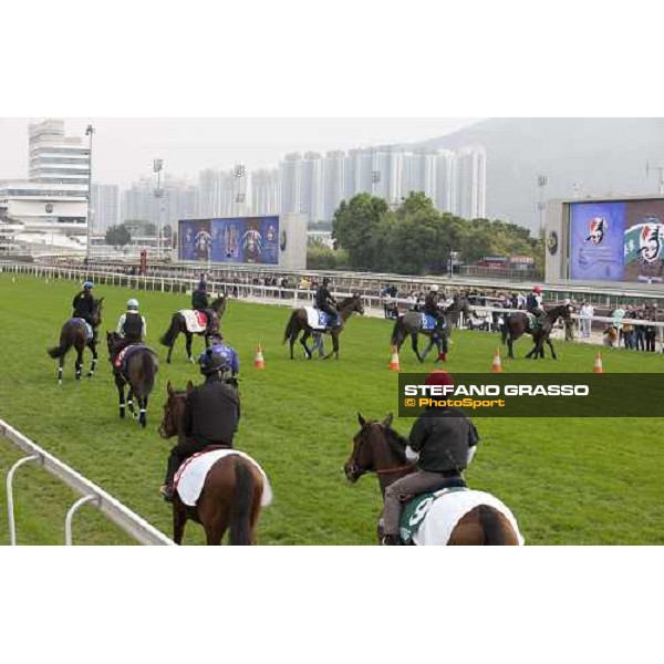 Morning track works at Sha Tin racecourse - Jakkalberry and Endo Botti lead a group of horses Hong Kong- Sha Tin, 10th dec. 2010 ph. Stefano Grasso