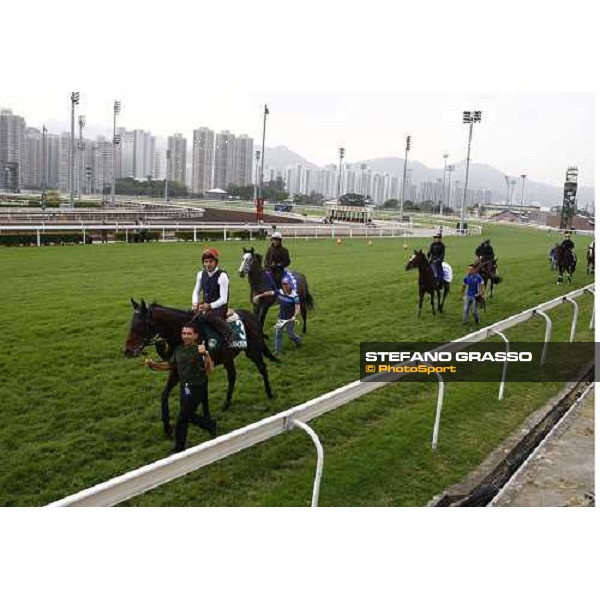 Morning track works at Sha Tin racecourse - Endo Botti on Jakkalberry Hong Kong- Sha Tin, 10th dec. 2010 ph. Stefano Grasso