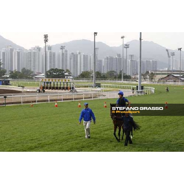 Morning track works at Sha Tin racecourse - Mastery Hong Kong- Sha Tin, 10th dec. 2010 ph. Stefano Grasso