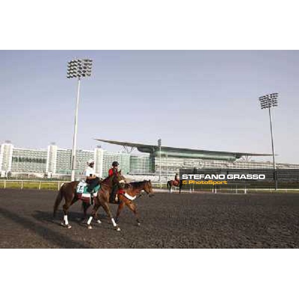 Morning track works at Meydan - Al Shemali Dubai - Meydan 24th march 2011 ph.Stefano Grasso