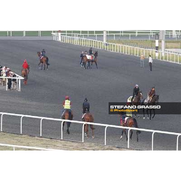 Morning track works at Meydan - Master of Hounds, Cape Blanco and Alexander Pope and others Dubai - Meydan 24th march 2011 ph.Stefano Grasso
