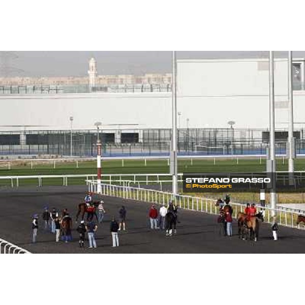 Morning track works at Meydan - morning track works Dubai - Meydan 24th march 2011 ph.Stefano Grasso