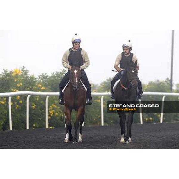 Morning track works at Meydan on friday 25th - Presvis (left) comes back to the stable Dubai - Meydan 25th march 2011 ph.Stefano Grasso