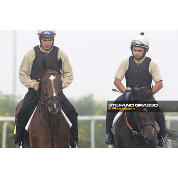 Morning track works at Meydan on friday 25th - Presvis (left) comes back to the stable after morning track works Dubai - Meydan 25th march 2011 ph.Stefano Grasso