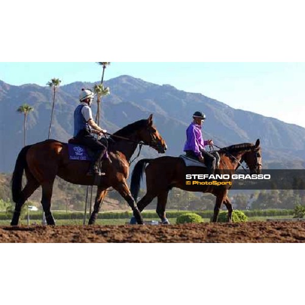 \'Falbrav at Santa Anita Race track with pony, stretching, during morning works Los Angeles oct 21 2003-ph.Stefano Grasso\' 