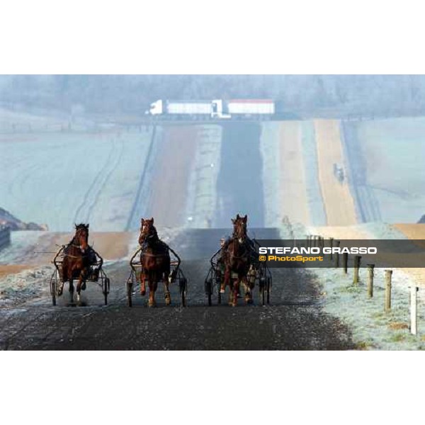 Haras de la Beauvoisniere - J. P. Dubois horses on training in the straight track Normandie Orne febr. 20 2004 ph. Stefano Grasso