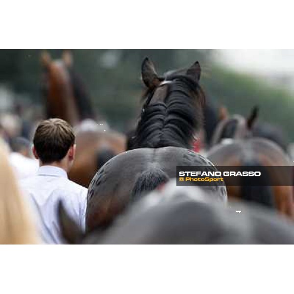 The horses parade before the Gran Criterium Milano - San Siro racecourse, 13th oct.2012 ph.Stefano Grasso