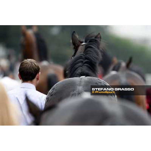 The horses parade before the Gran Criterium Milano - San Siro racecourse, 13th oct.2012 ph.Stefano Grasso