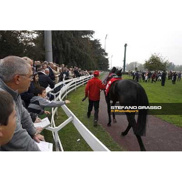 Racegoers watch a horse parading in the paddock before the race Milano - San Siro racecourse, 13th oct.2012 ph.Stefano Grasso