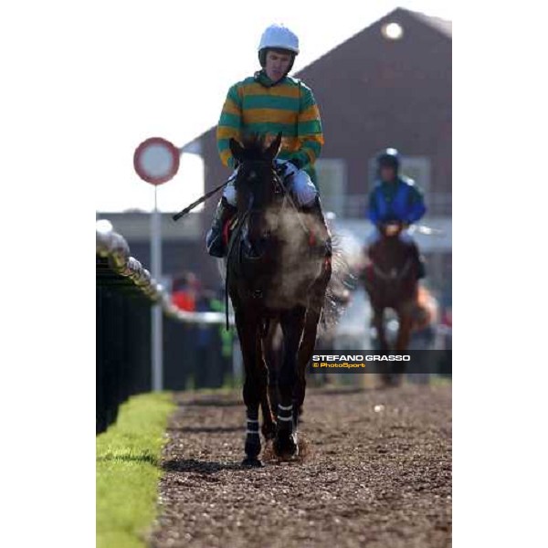 a disappointed A.P.Mc Coy on Baracouda (2nd on teh line) comes back to the winner enclosure of The Ladbrokes Hurdle Race Cheltenham - The Festival 3rd day , 17th march 2005 ph. Stefano Grasso