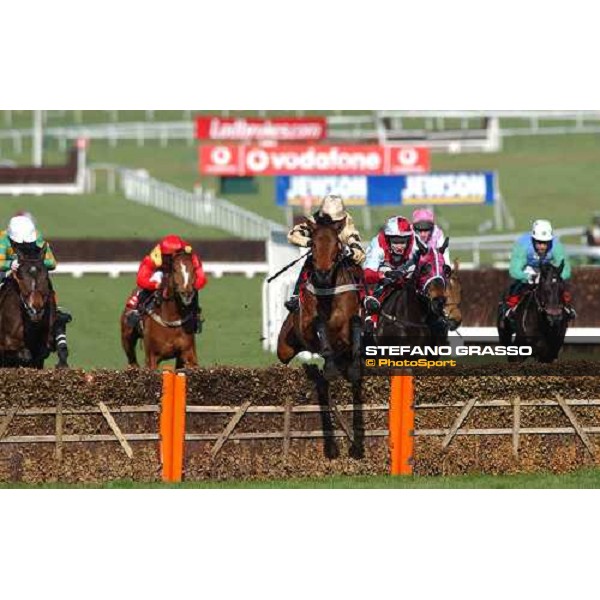 Inglish Drever jumps first on the lust hardle of The Ladbrokes World Hurdle race Cheltenham - The Festival 3rd day , 17th march 2005 ph. Stefano Grasso