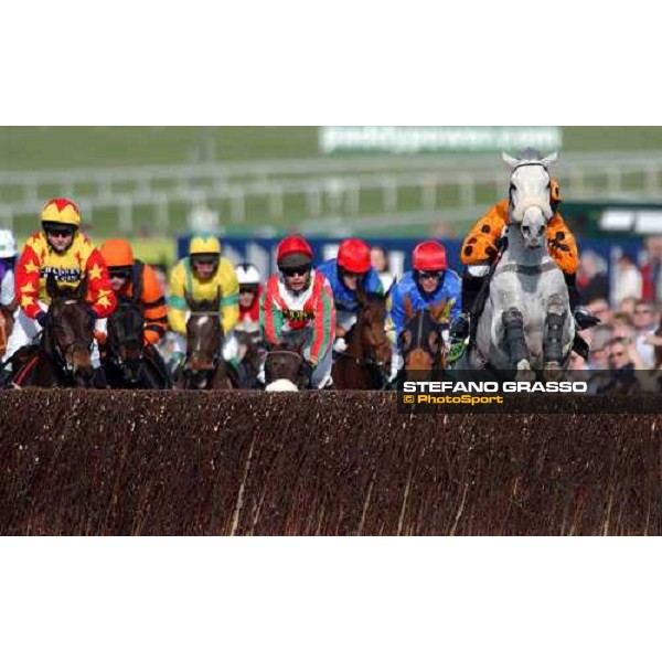Graham Lee on Grey Abbey(right) jumps in the first turn of The Totesport Cheltenham Gold Cup Steeple Chase Cheltenham - 4th day - 18th march 2005 ph. Stefano Grasso
